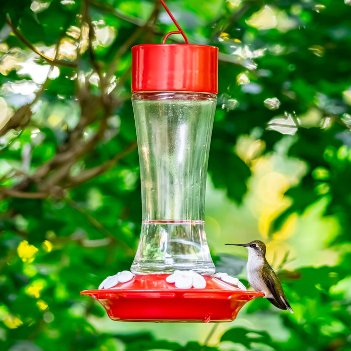 SCARLET SILHOUETTE GLASS HUMMINGBIRD FEEDER