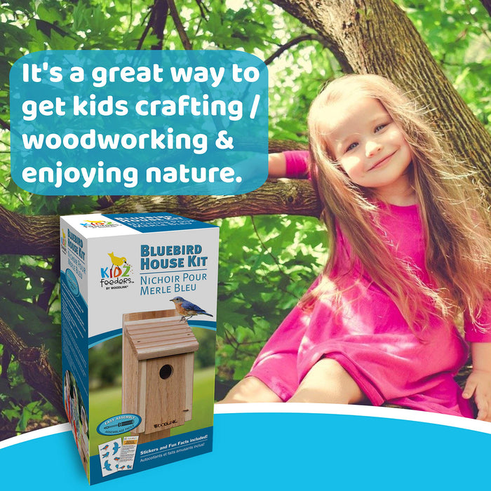 AUDUBON DIY CRAFT KIT BLUEBIRD HOUSE