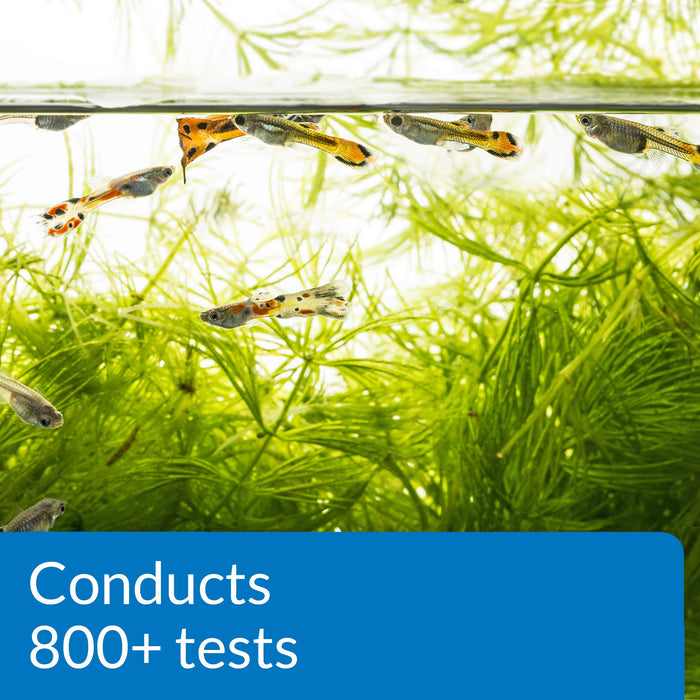 API FRESHWATER MASTER TEST KIT