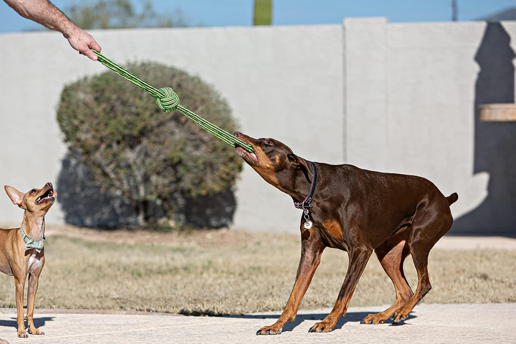 JOLLY PETS KNOT N CHEW GENTLE TUGGER