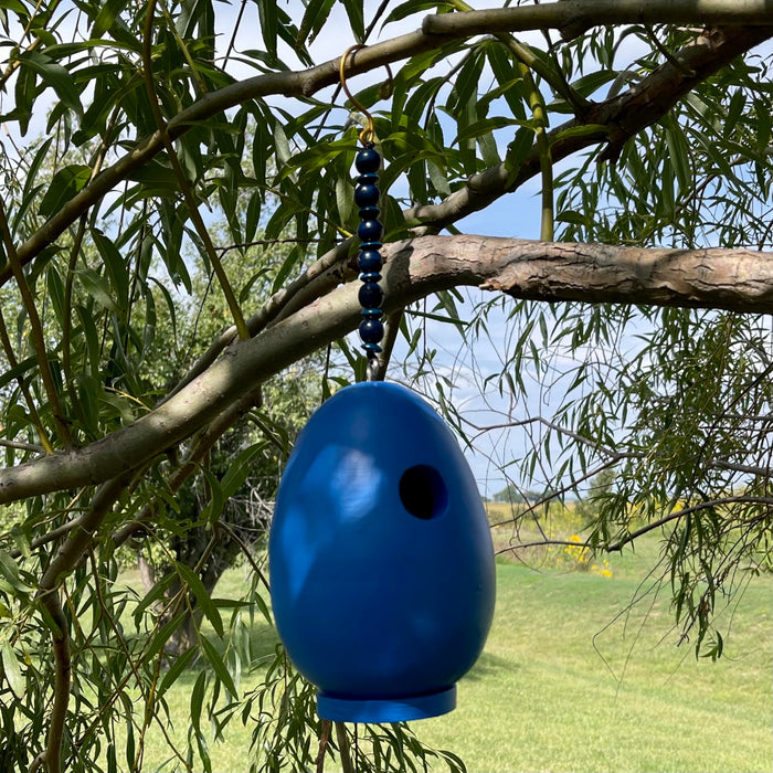 Bobbo from Songbird Essentials Blue Egg Bird House