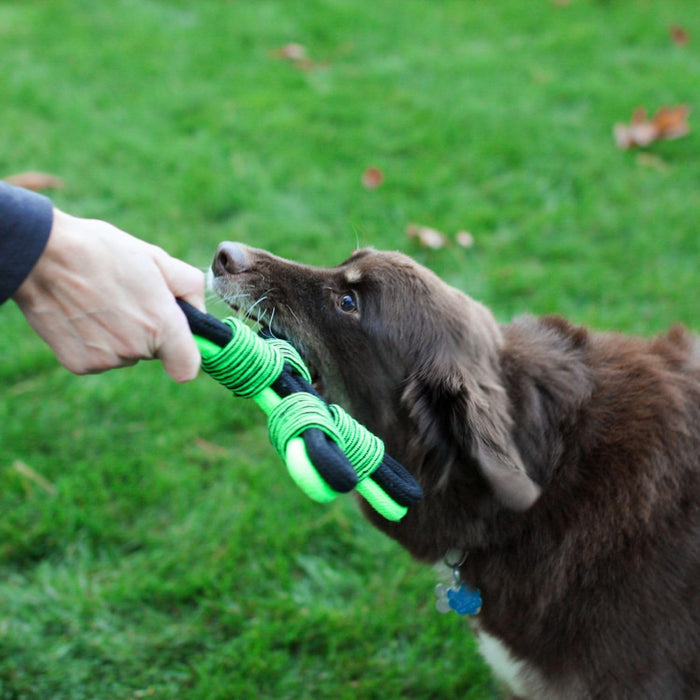 JOLLY PETS KNOT N CHEW TIK TAK TUGZZ X