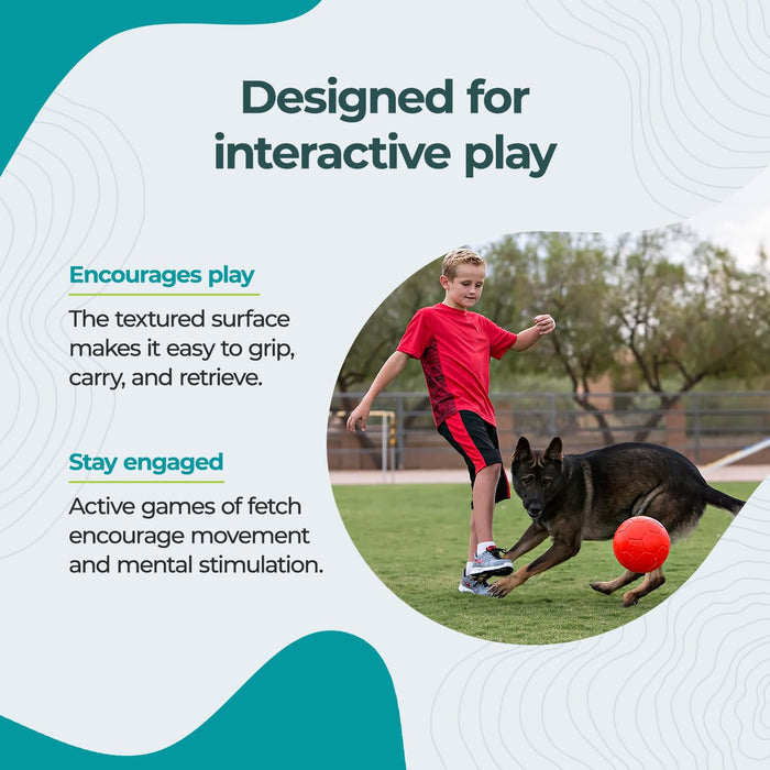 JOLLY PETS SOCCER BALL