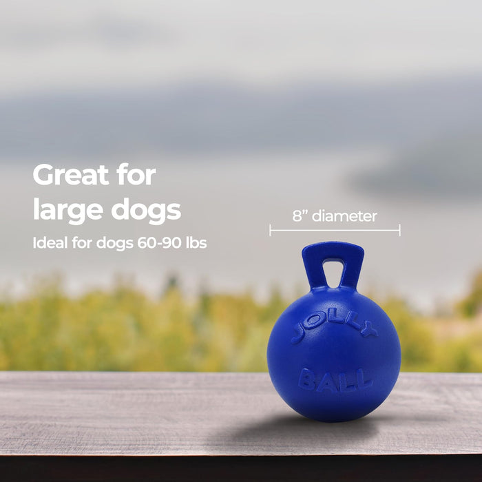 JOLLY PETS TUG-N-TOSS BALL