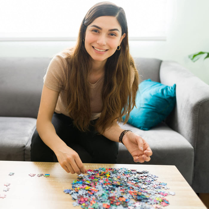 MasterPieces Puzzles Contours Shaped Butterfly Shape 1000 Piece Puzzle