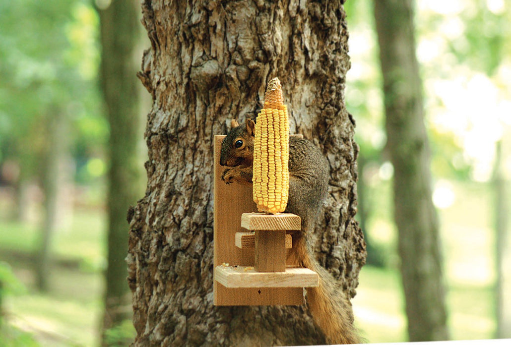 AUDUBON SQUIRREL CHAIR FEEDER