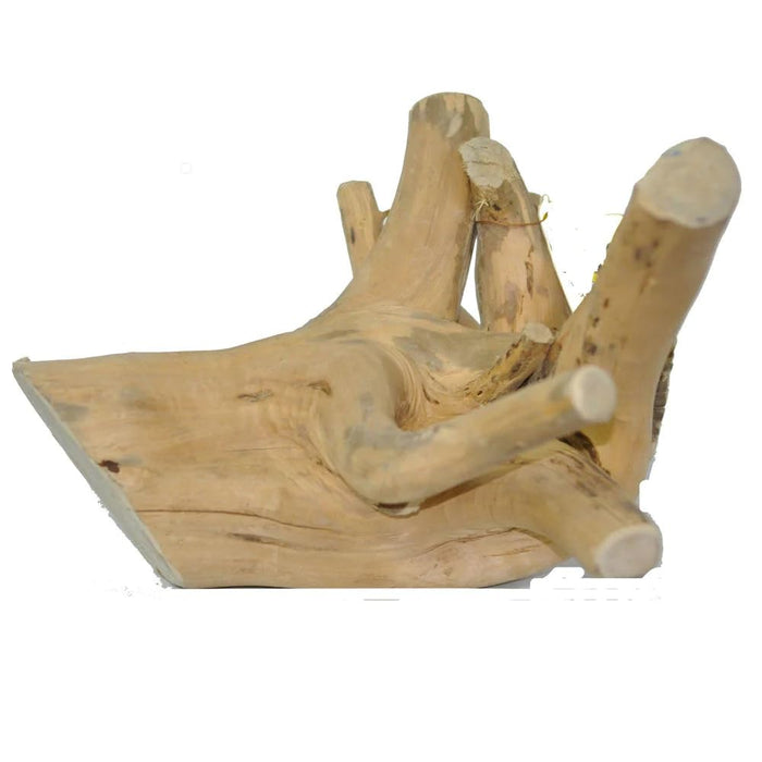 JAVA WOOD REPTILE BRANCH