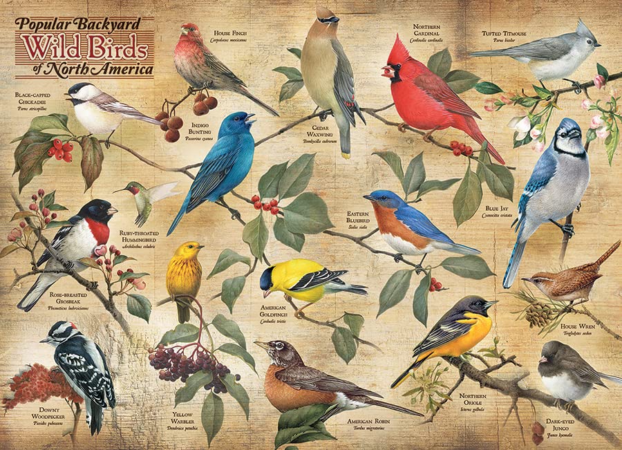 Popular Backyard Birds Puzzle