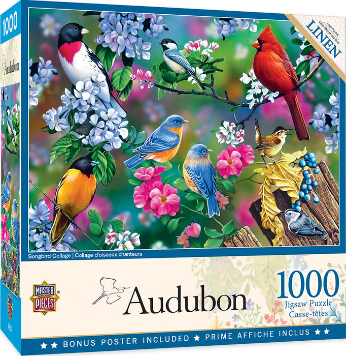 MasterPieces Puzzles Audubon Songbird Collage 1000 Piece Puzzle