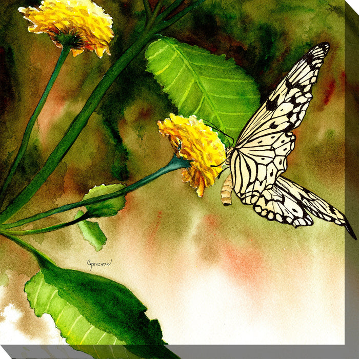 BUTTERFLY KISS by West of the Wind | Waterproof Outdoor Wall Art