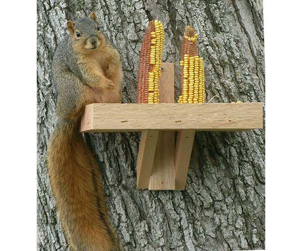WILDLIFE FEEDERS & HOUSES: Squirrel Feeder