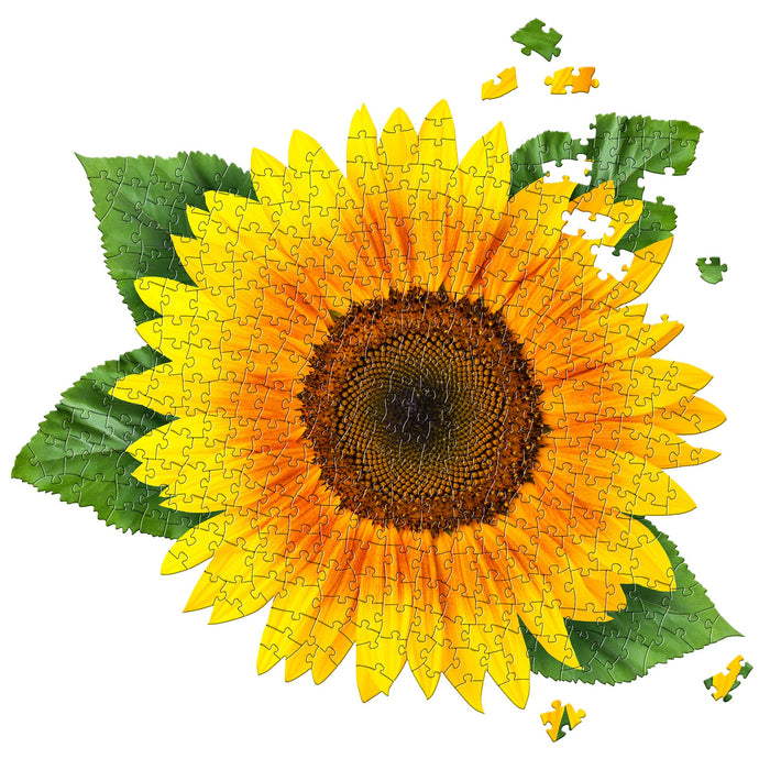 I AM SUNFLOWER Puzzle 350 pcs