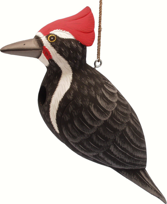 Bobbo from Songbird Essentials Woodpecker Bird House