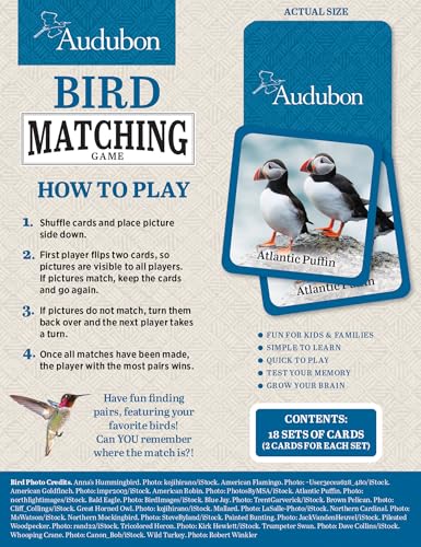 MasterPieces Puzzles Audubon Bird Matching Game