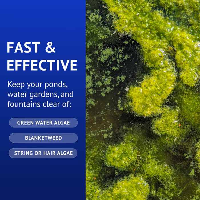 API POND ALGAEFIX