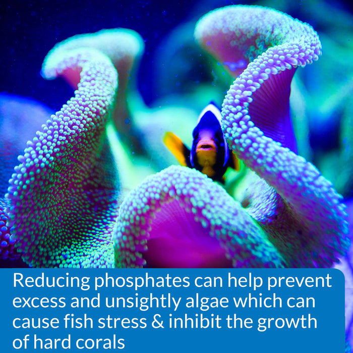 API PHOSPHATE TEST KIT FOR FRESH & SALTWATER