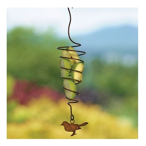 Spiral Fruit Spear Bird