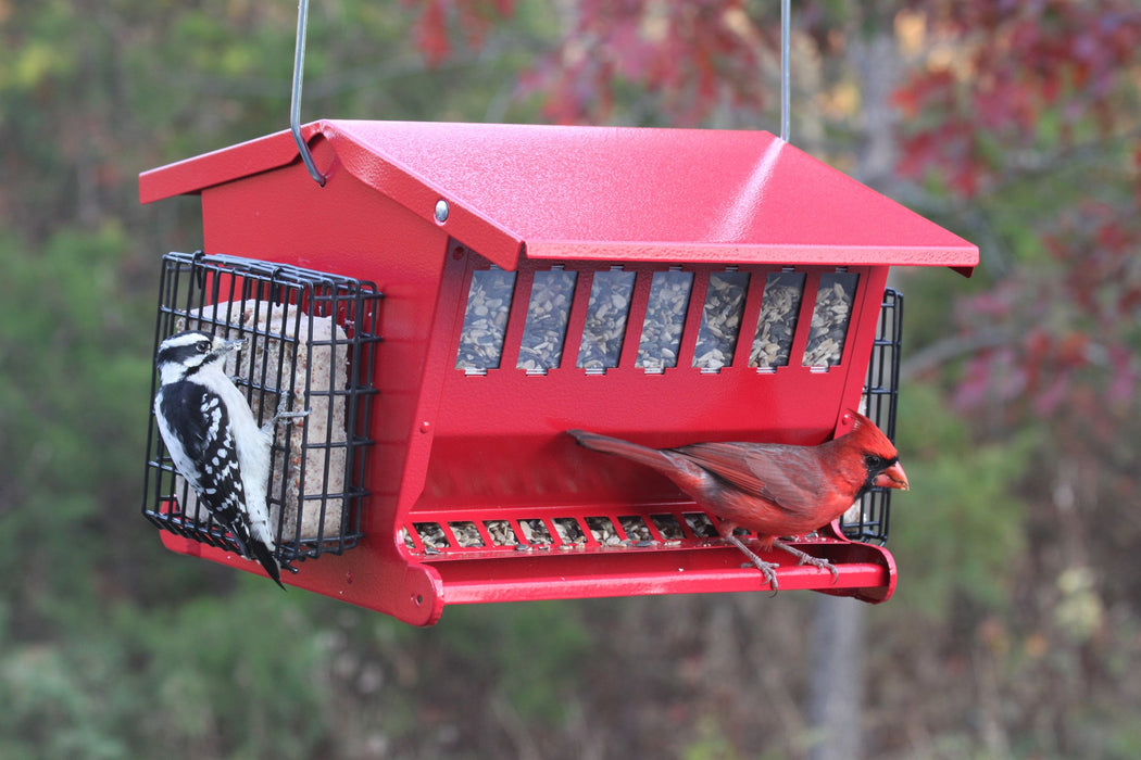 Seed 'N More Feeder/Red