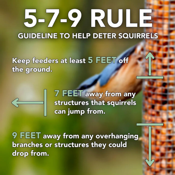 AUDUBON GOING GREEN DOUBLE PLATFORM FEEDER