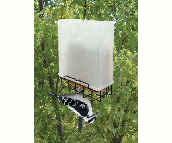 Suet Bird Feeders: Suet Saver Feeder