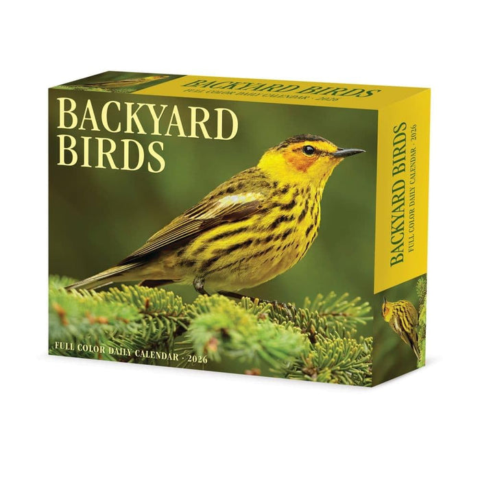 Willow Creek Press Backyard Birds Boxed 2026 Calendar