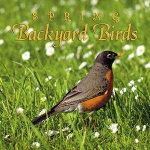 Spring Backyard Birds CD