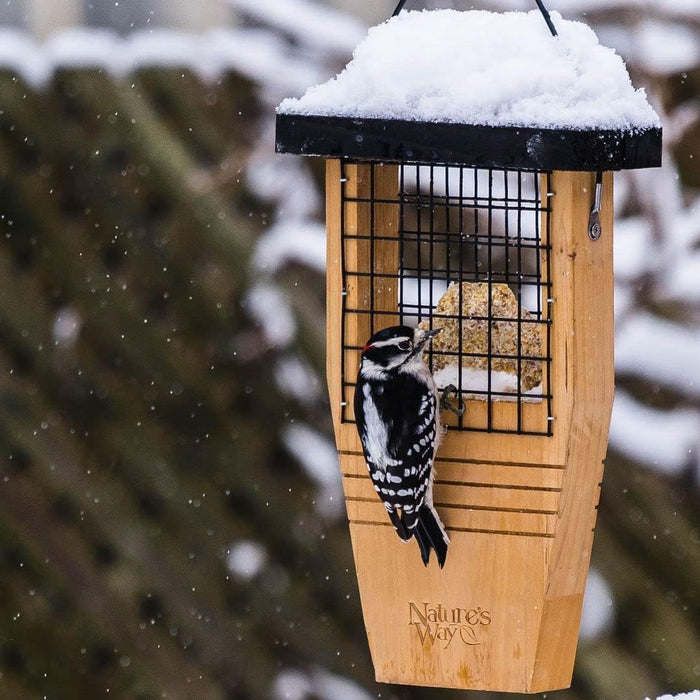 TAIL PROP SUET FEEDER