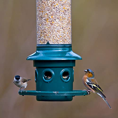 Brome Squirrel Buster Plus Squirrel-proof Bird Feeder w/Cardinal Ring and 6 Feeding Ports, 5.1-pound Seed Capacity, Adjustable, Pole-mountable (POLE ADAPTOR SOLD SEPARATELY), Green