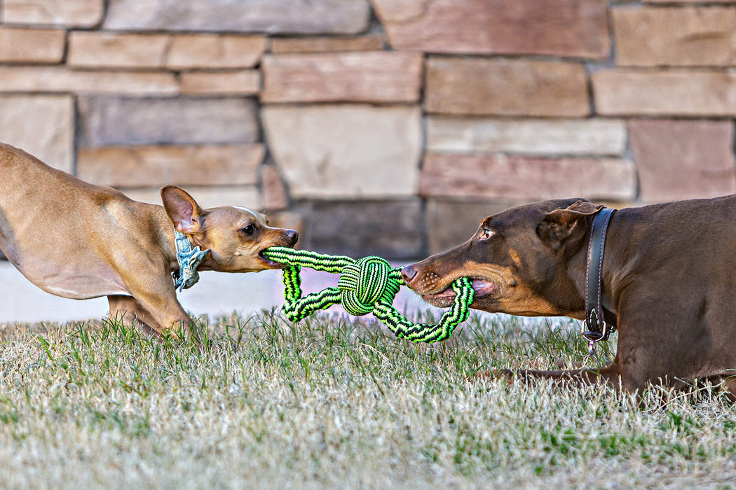 JOLLY PETS KNOT N CHEW GENTLE TUGGER
