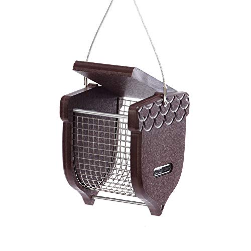 Birds Choice Acorn Shaped Peanut Feeder, Brown