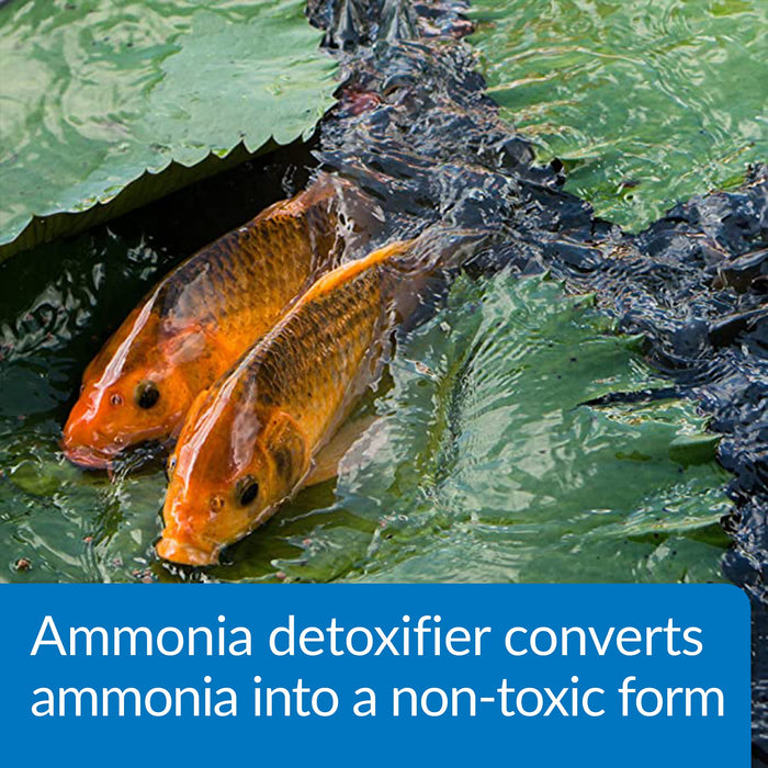 API POND AMMO-LOCK AMMONIA DETOXIFIER