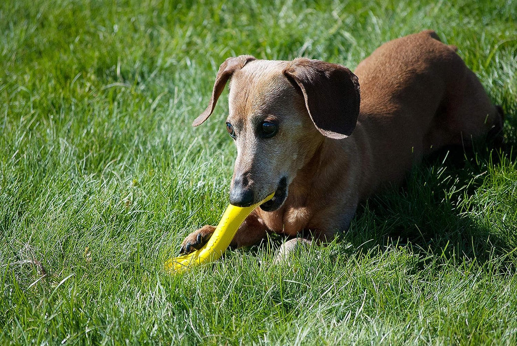 JOLLY PETS FLEX-N-CHEW BONE