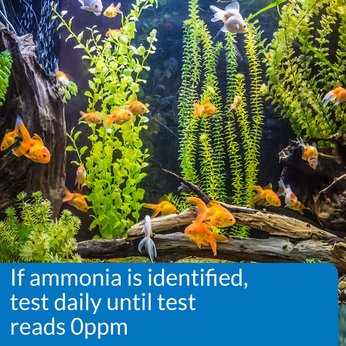 API AMMONIA AQUARIUM TEST STRIPS