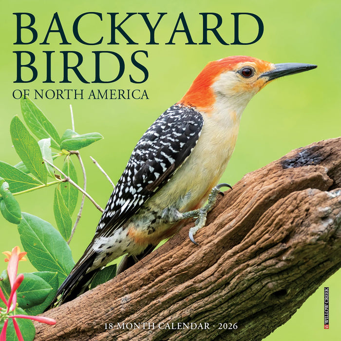 Willow Creek Press Backyard Birds Mini 2026 Calendar