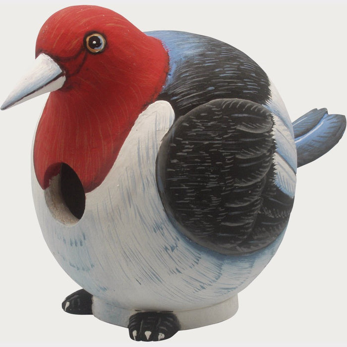 Bobbo from Songbird Essentials Woodpecker Gord-O Bird House