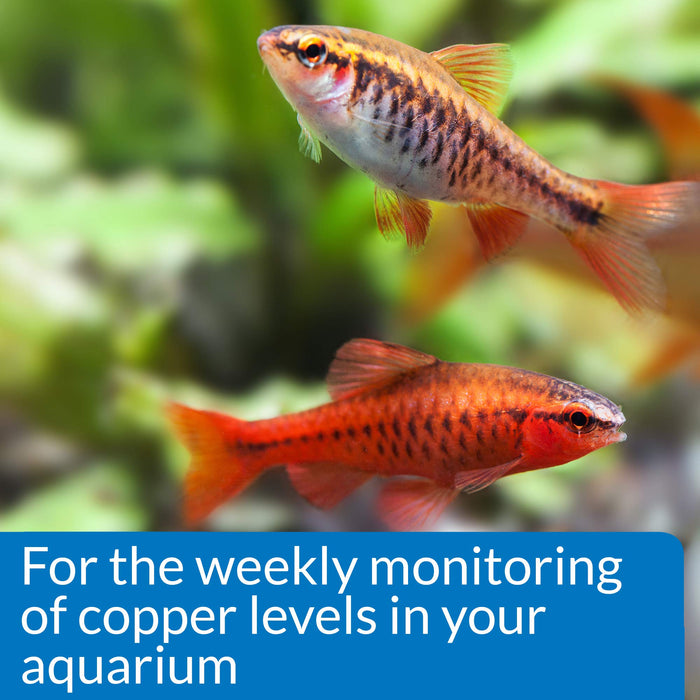 API COPPER TEST KIT FOR FRESH & SALTWATER