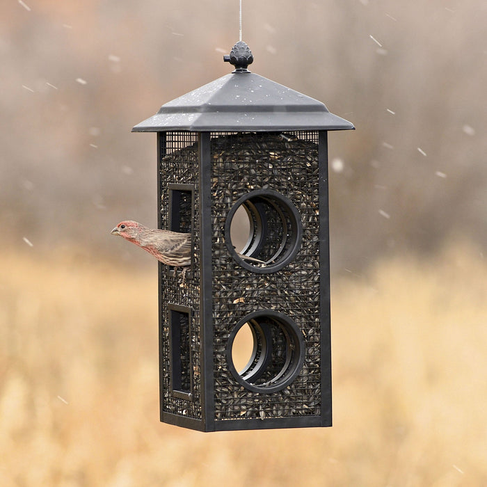 Fly-Through Feeder