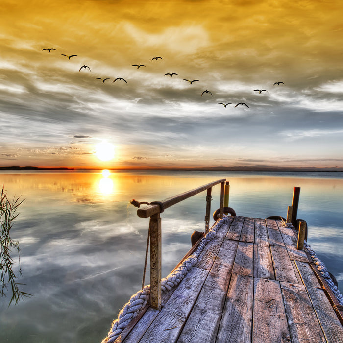 STILL STANDING by West of the Wind | Waterproof Outdoor Wall Art