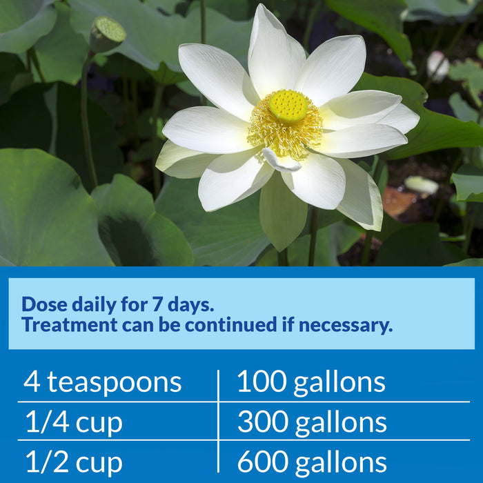 API POND PIMAFIX ANTIFUNGAL REMEDY