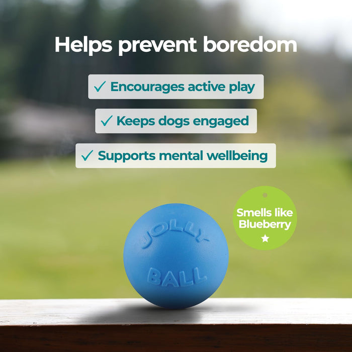 JOLLY PETS BOUNCE-N-PLAY BALL
