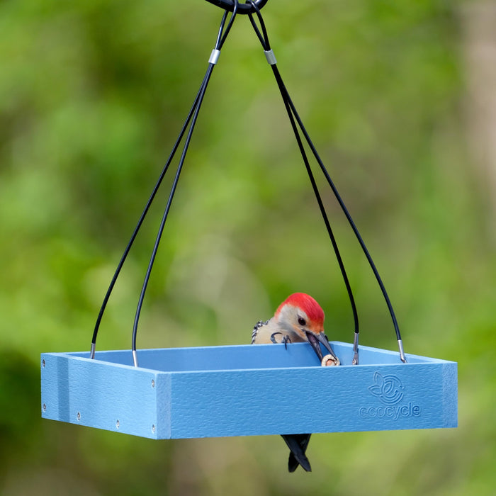 ECOCYCLE PERFECT PICNIC PLATFORM FEEDER