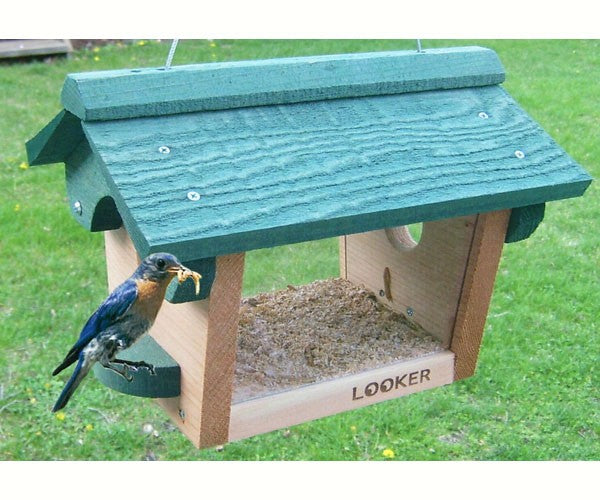 Bluebird Houses: Bluebird Feeder