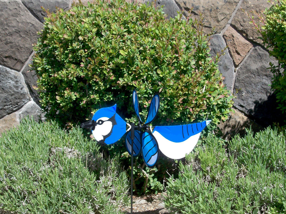 Blue Jay Baby Bird Spinner