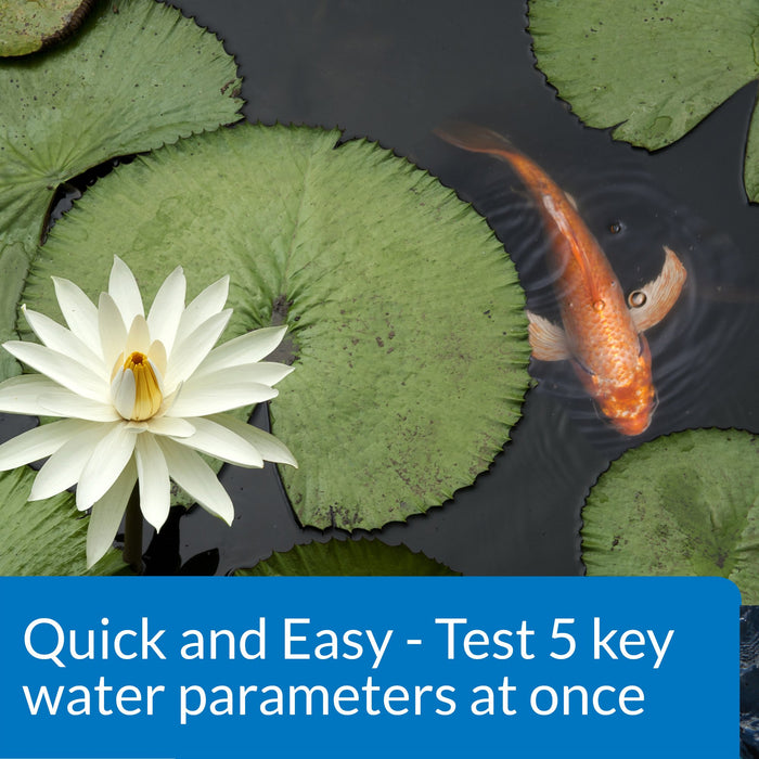 API POND 5 IN 1  TEST STRIPS