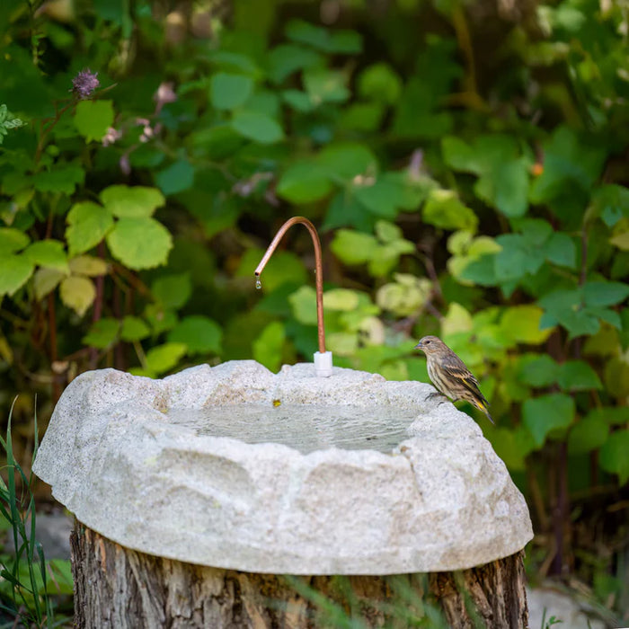 Birds Choice Rocky MountainBath w/Dripper