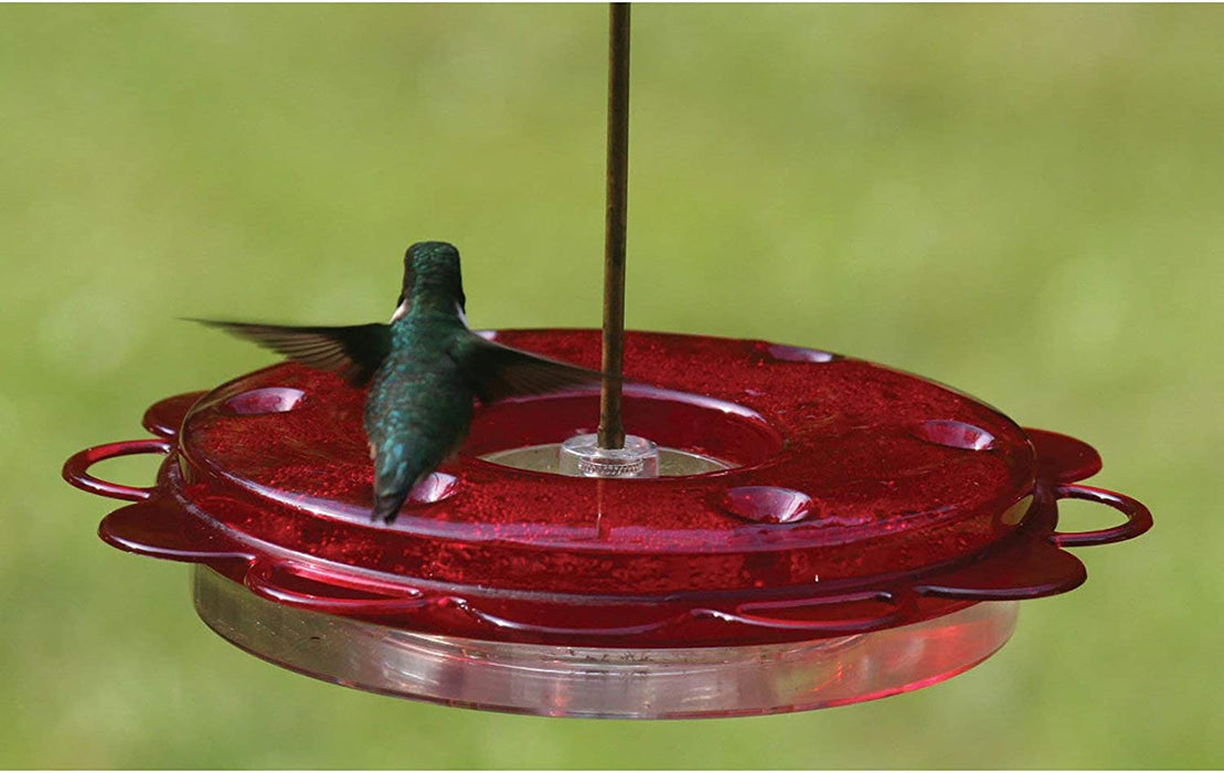 Naturesroom Hummingbird Feeder Kit by Birds Choice (Feeder with Nectar)