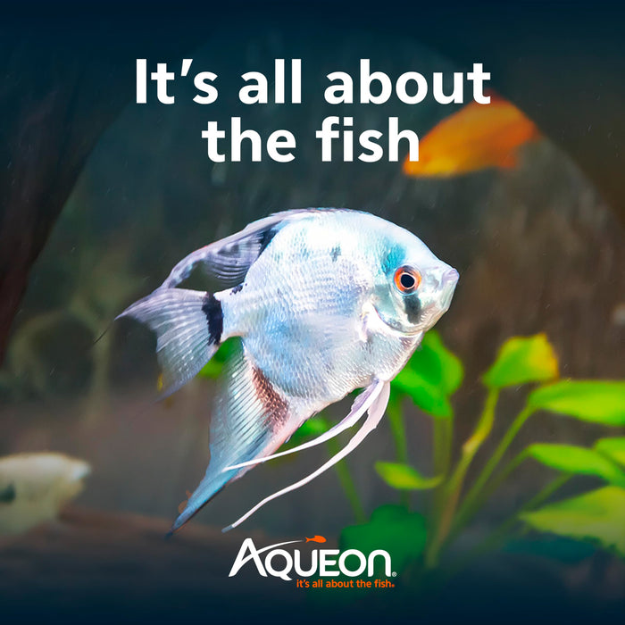 AQUEON AMMONIA AQUARIUM TEST STRIPS