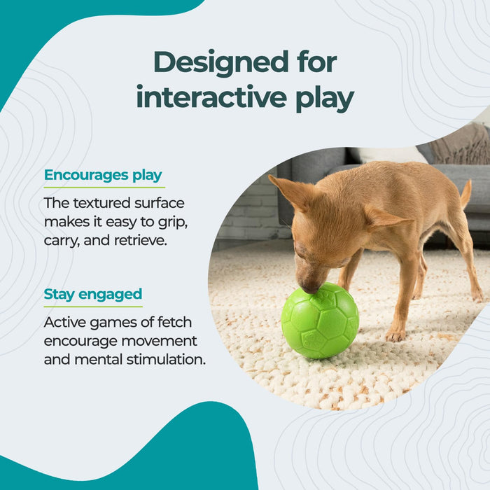 JOLLY PETS SOCCER BALL