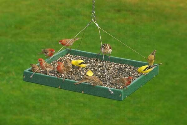 large. Hanging Platform Feeder