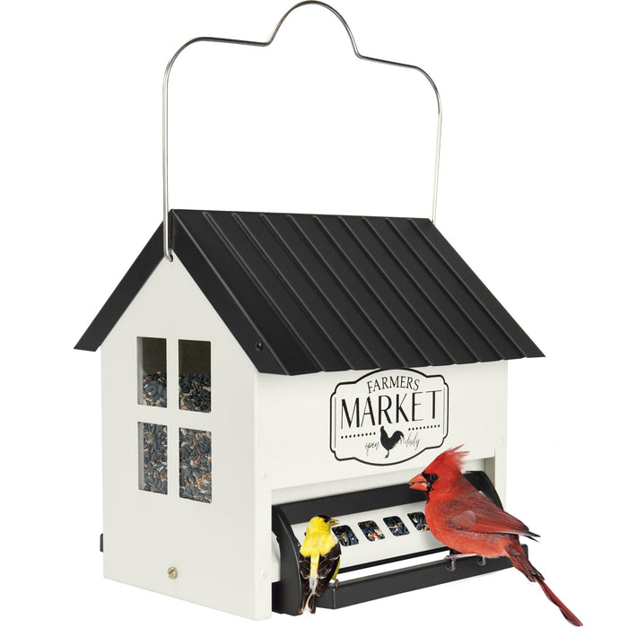 Squirrel Shield Hopper Feeder